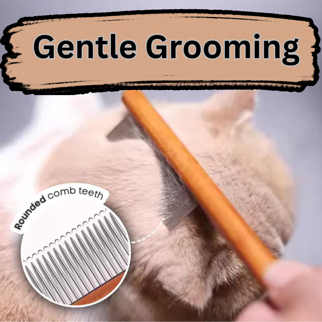 Wooden Cat Comb